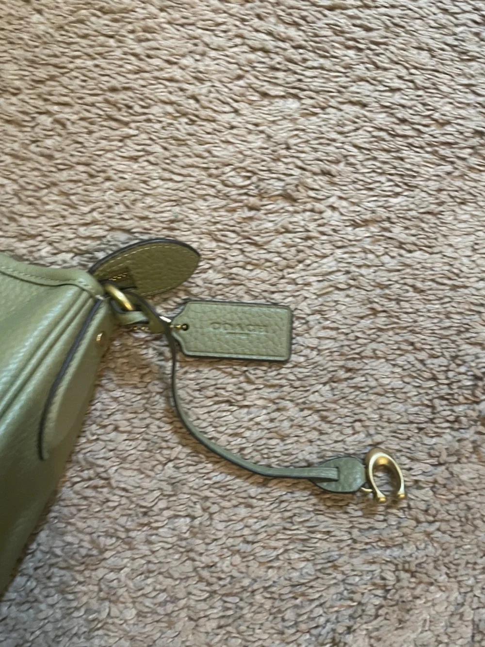 Coach Cary Shoulder in Moss Pebbled Leather